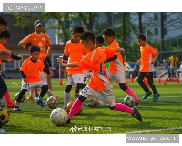 南京足球队的蜕变之路：从传统到现代的深度解析与展望