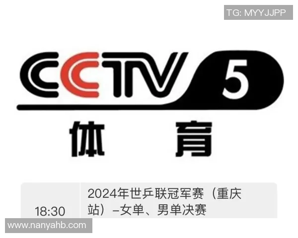 赛后深度分析：杭州乒乓球队与重庆乒乓球队的实力对决与战术解析