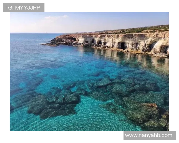 足球明星与家养鱼的温馨生活瞬间分享